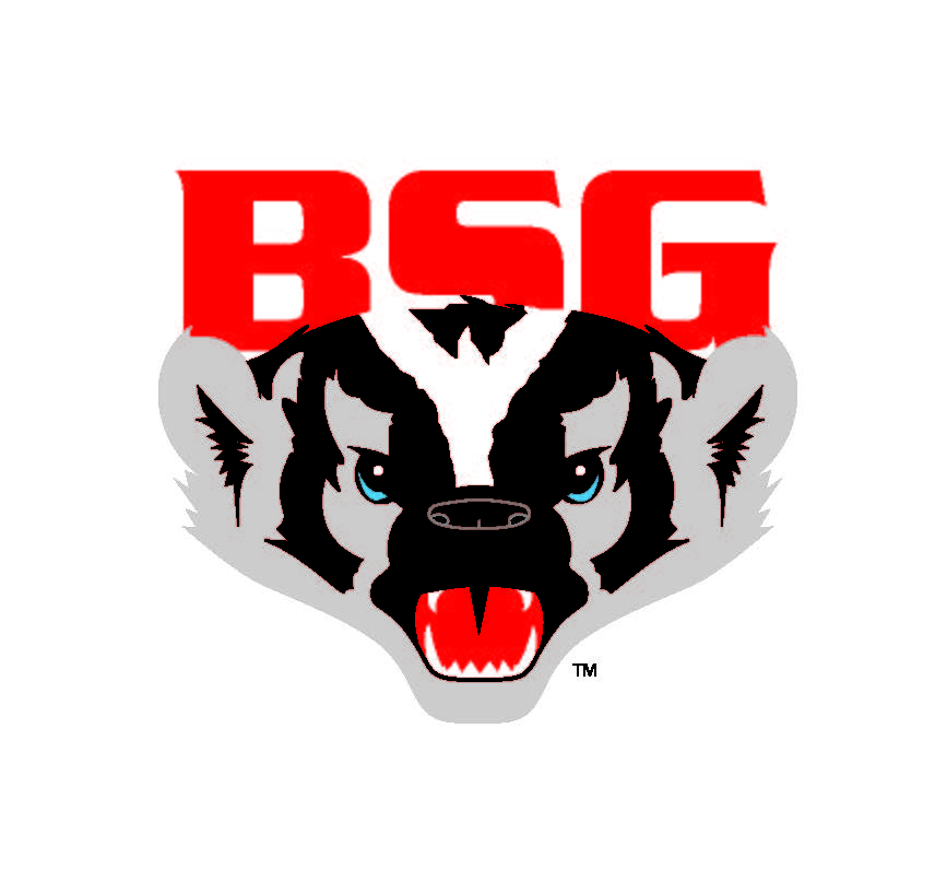 BSG Badger