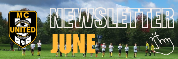 Orange Bold Newsletter Email Header
